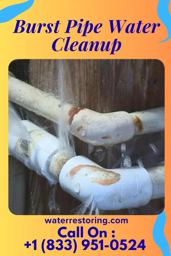 Burst Pipe Water Cleanup in Sharon, GA