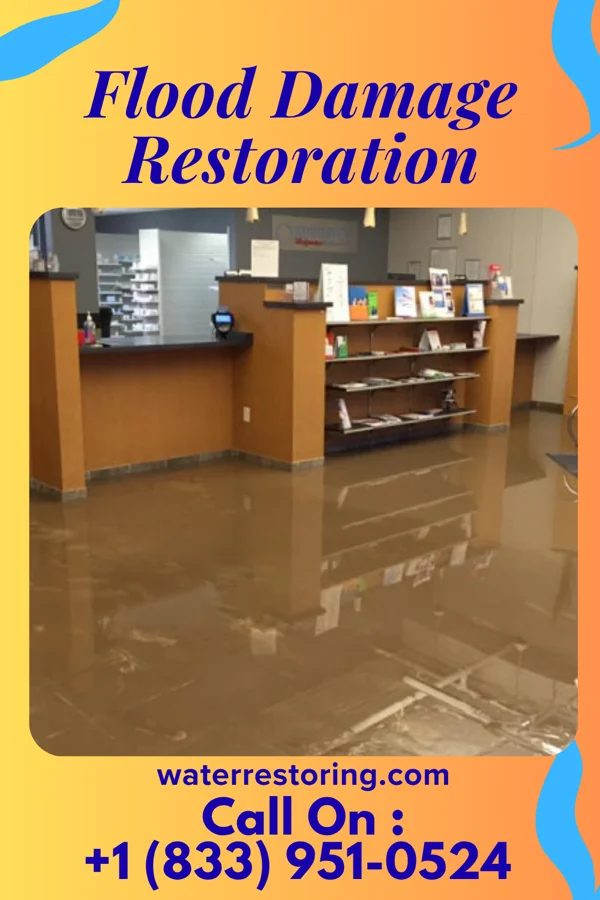 Flood Damage Restoration in Sharon, GA