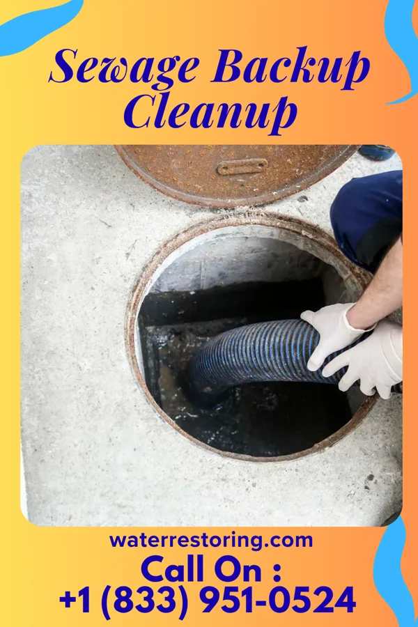 Sewage Backup Cleanup in Sharon, GA